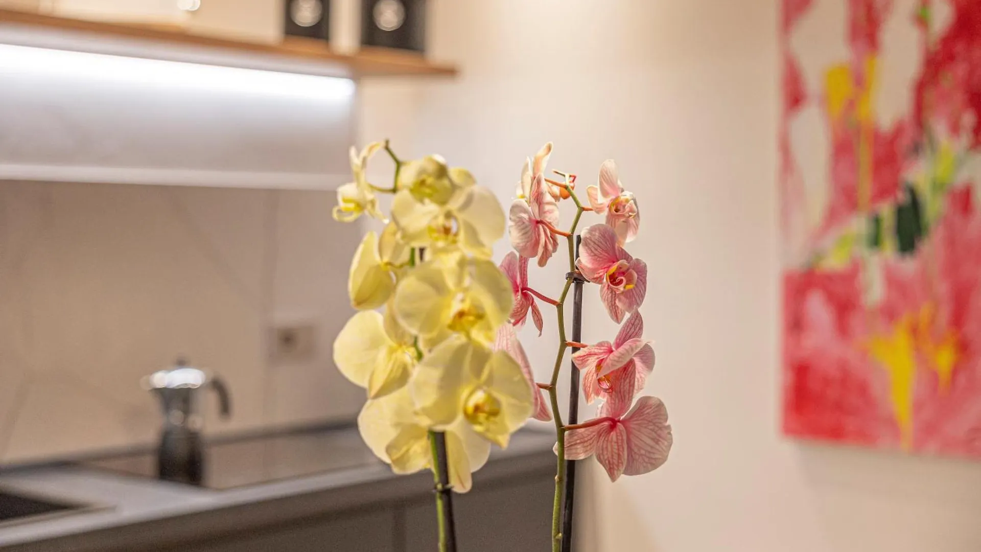 The Bright Nest Apartments Verona Italy